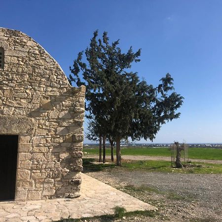 Tranquil Country Condo Larnaca Exterior foto